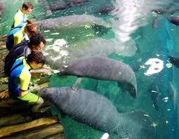 Jardim Botânico e Zoológico